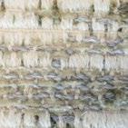 valenzano-3.jpg valenzano-3.jpg